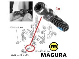 Šroub pro uchycení ráfkové brzdy Magura HS11/HS22/HS33  cena za kus