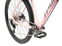 Kolo MTB 29" Spyder Conad Sram SX Eagle 1x12, velikost  M – 19" – barva dle přání