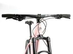 Kolo MTB 29" Spyder Conad Shimano Deore 1x12, velikost M – 19" – barva dle přání