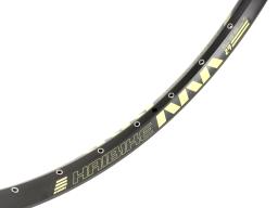 Rodi Tryp 30  Disc  MTB 29" ráfek  32 děr