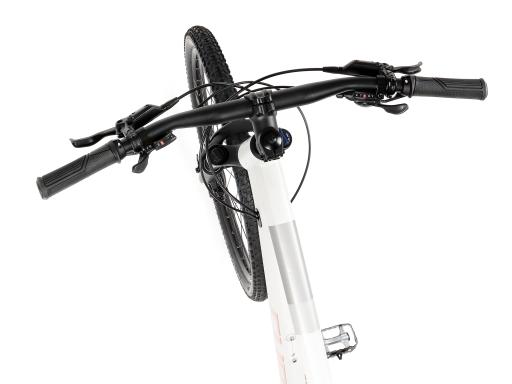 Kolo MTB 29" Cube Access WS EXC Shimano Alivio 3x9, velikost L – 18", světlešedá