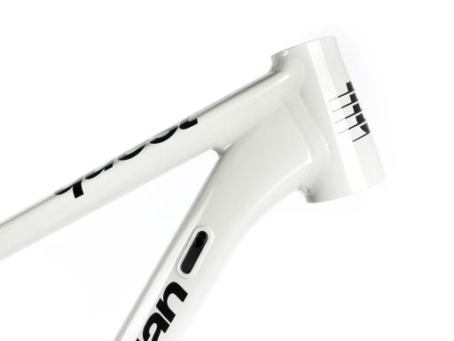 Celoodpružené MTB 29" Lee Cougan Quest SHIMANO Deore Di2 M6250 1x12, velikost L – 19" (48 cm), šedá lesklá